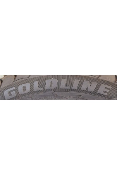 205 50 R 17 GOODLINE IGL910 93W 