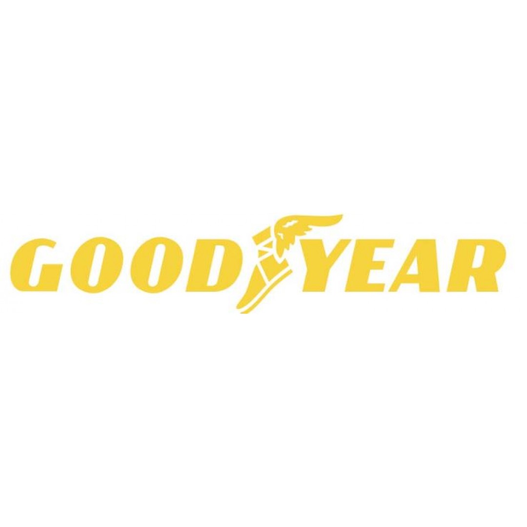 225 50 R 17 GOODYEAR OPTIGRIP 98W