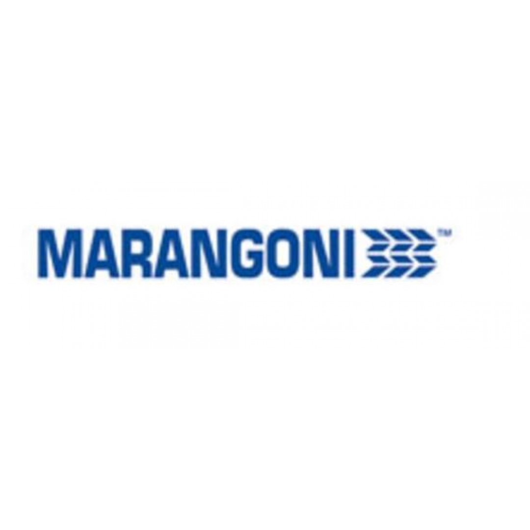165 70 R 13 MARANGONI ELOGIC 79T