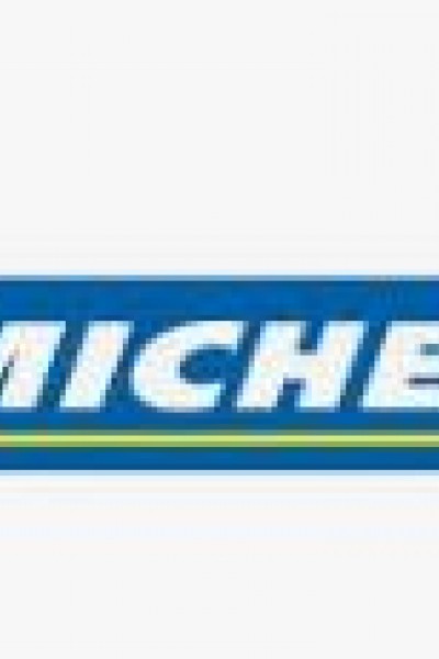 195 55 R 15 MICHELIN ENERGY 85H