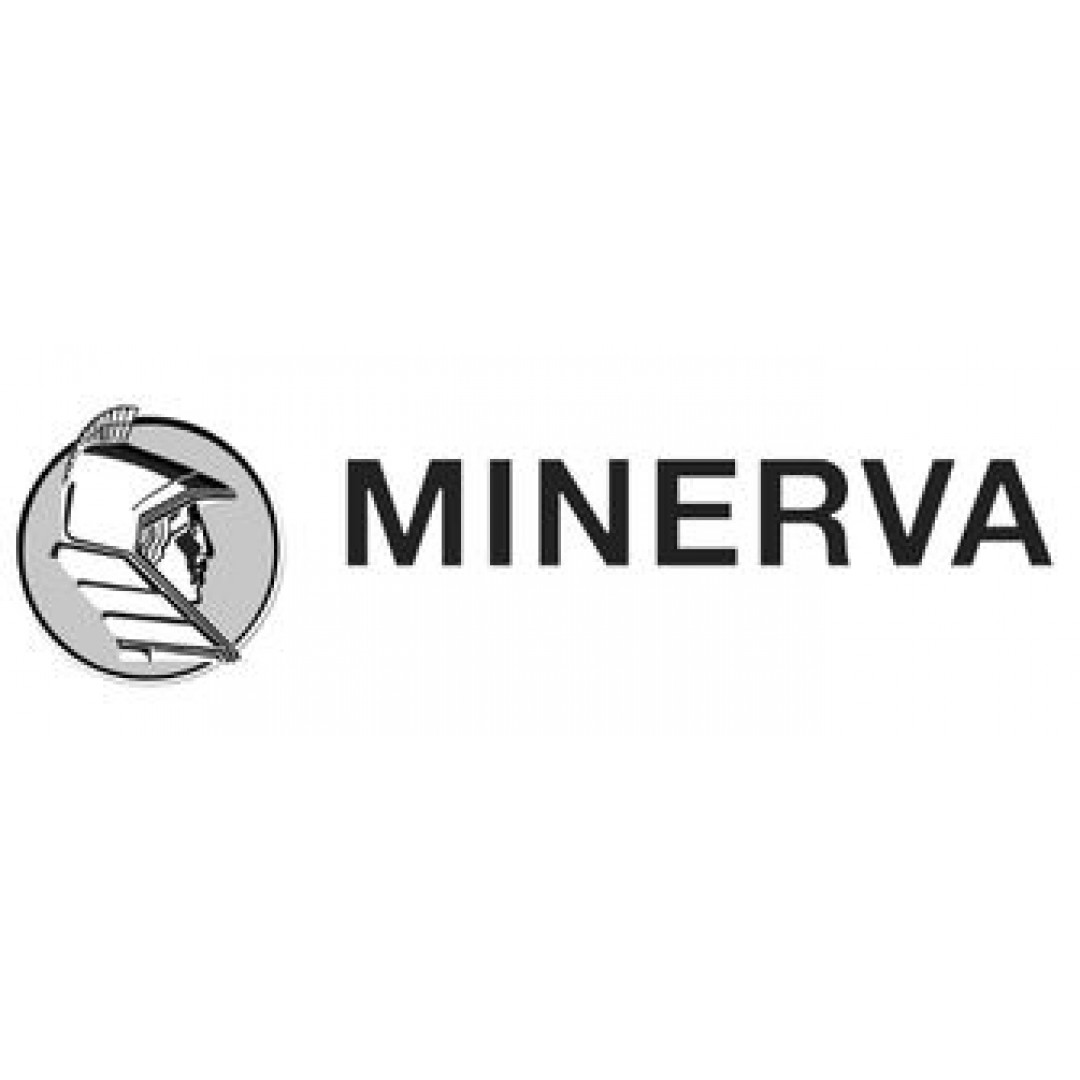 205 80 R 16 MINEVRA RF07 104S FT-