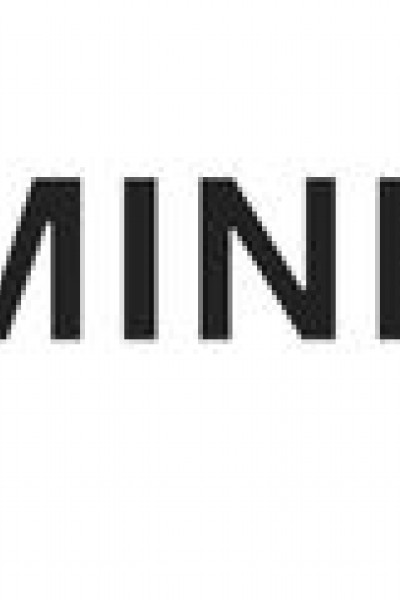 205 80 R 16 MINEVRA RF07 104S FT-