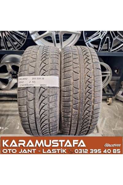 205 55 R 16 PETLAS W651 91H * 2012 * 2 ADET * CKL4842
