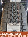 205 55 R 16 DAYTON DW510 91H